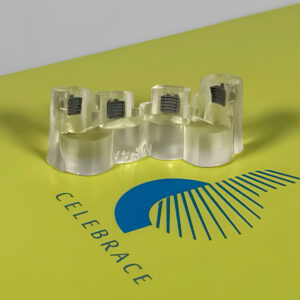 Celebrace Custom Bracket & IDB System